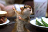 il etait une fois-photo 5