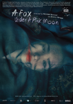 A Fox Under a Pink Moon
