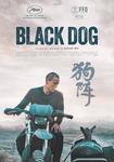 Black Dog