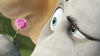 horton - photo 3