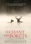 Le Chant Des Forêts