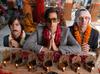 darjeeling limited - photo 1